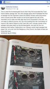 Blunder by Catherine Corless. Basing claims on the wrong excavation