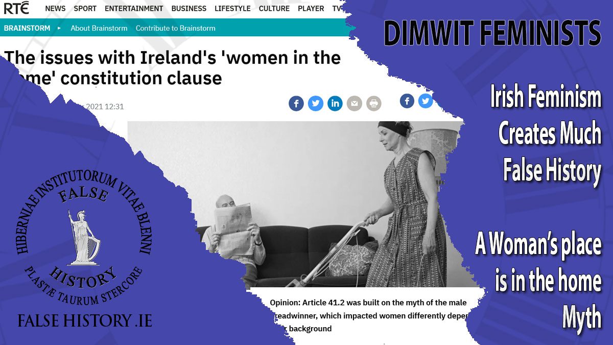 Women in the Home – Irish Feminist Lie