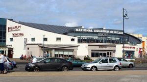 National Aquarium of Ireland, Salthill Photo by Abi Skipp Aug 2013