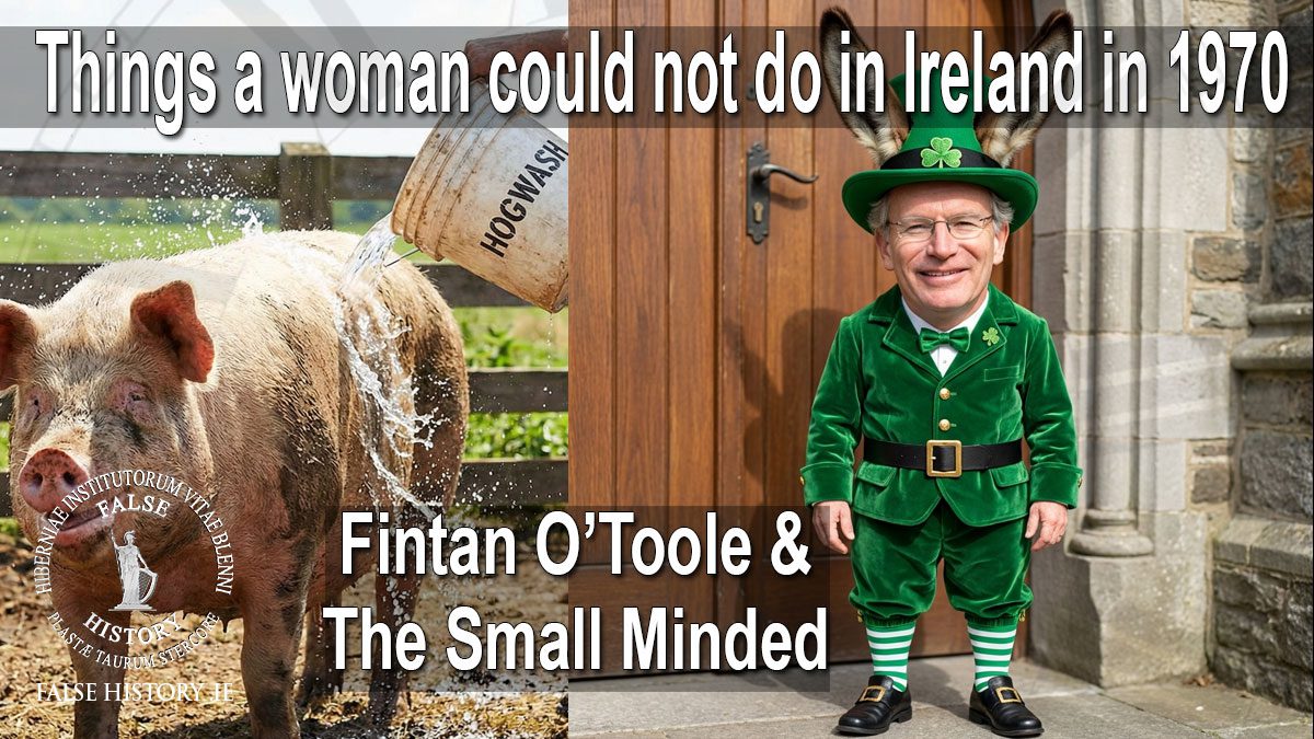 Things that Irish women could not do in 1970 - Hog Wash by Fintan O'Toole